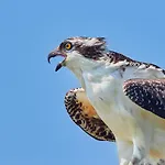 4846 Turtle Cove