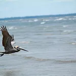 10 Atlantic Beach