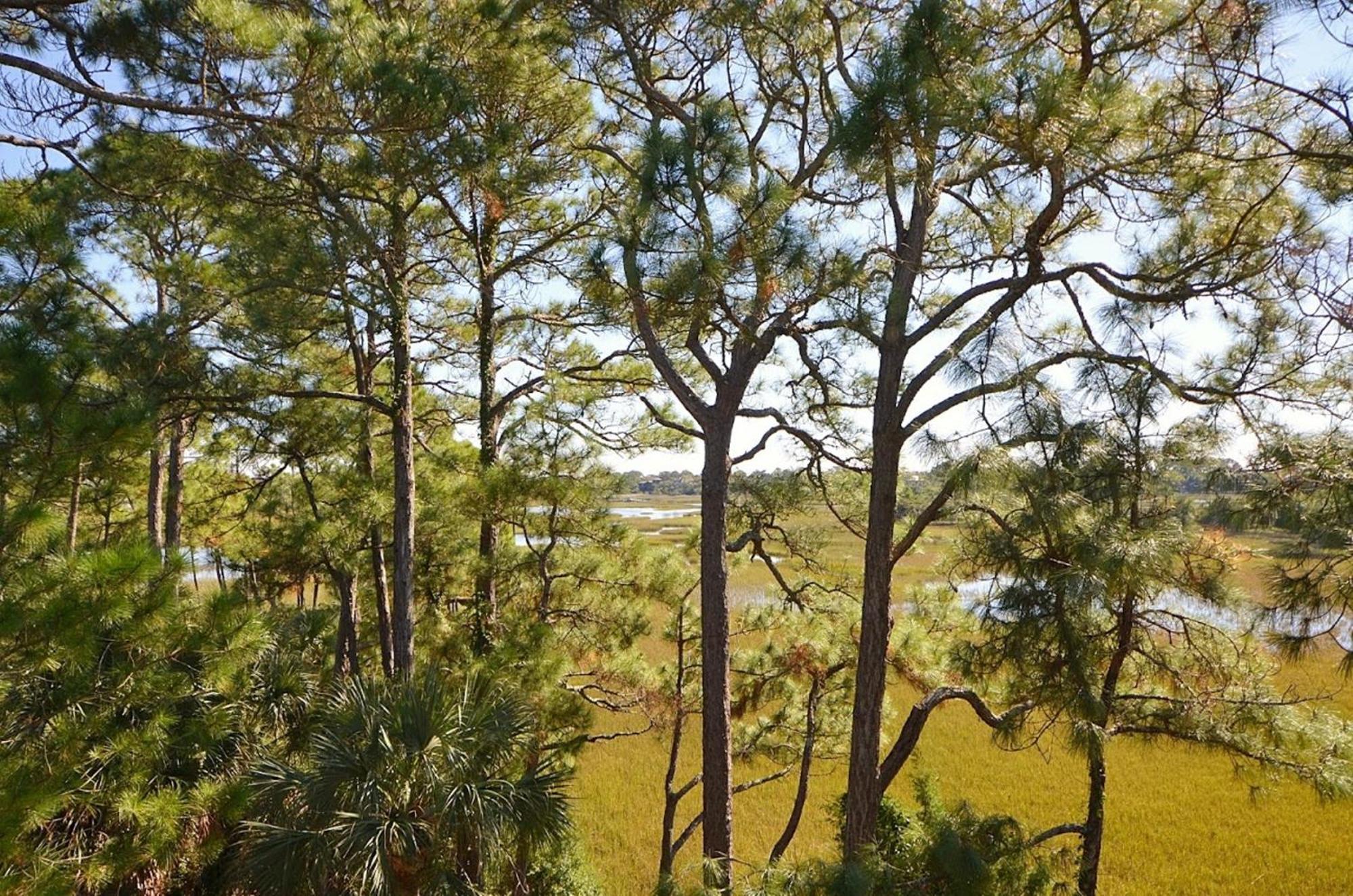 Holiday home 12 Falcon Point Road