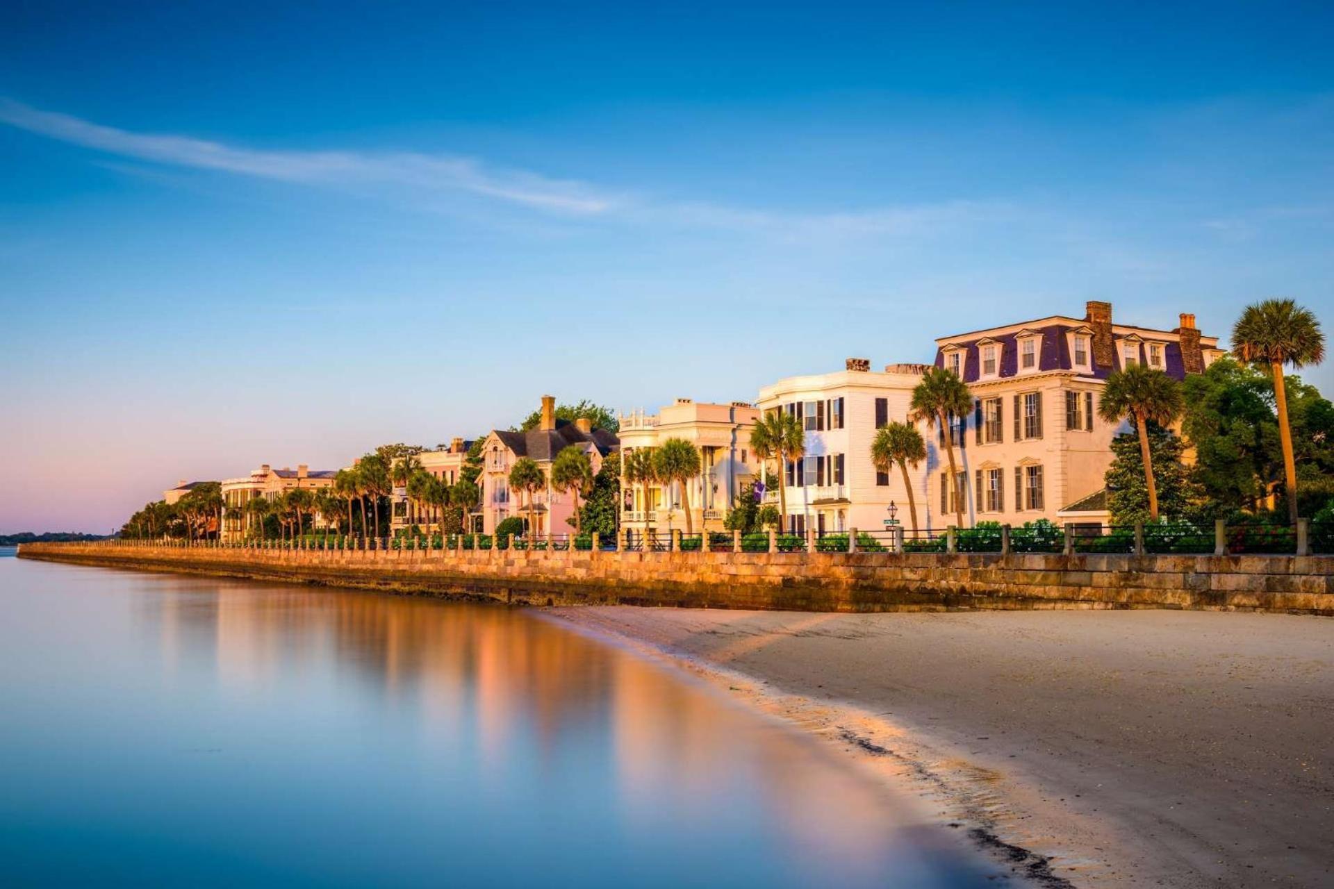 Palm * Kiawah Island