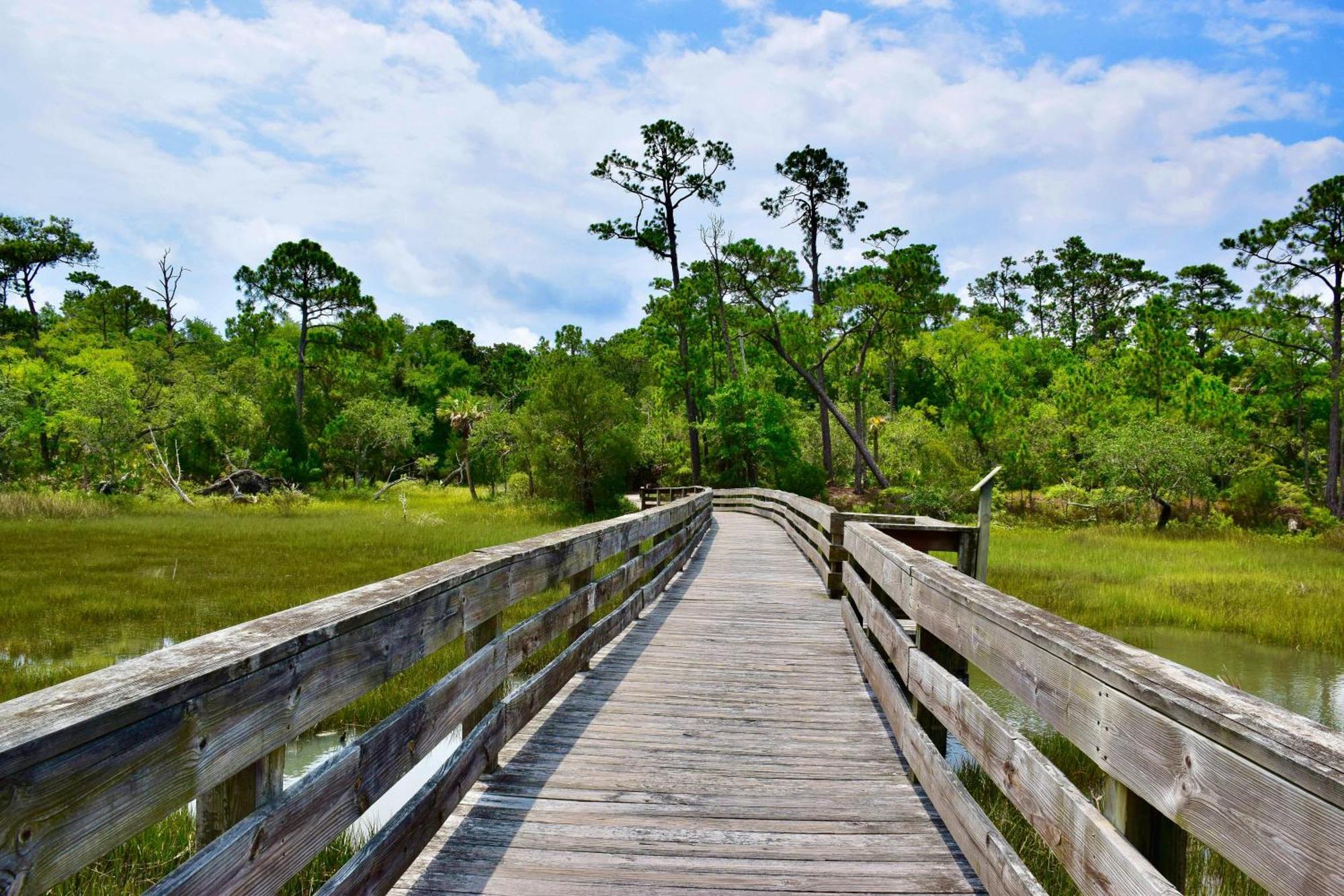 296 Marsh Cove