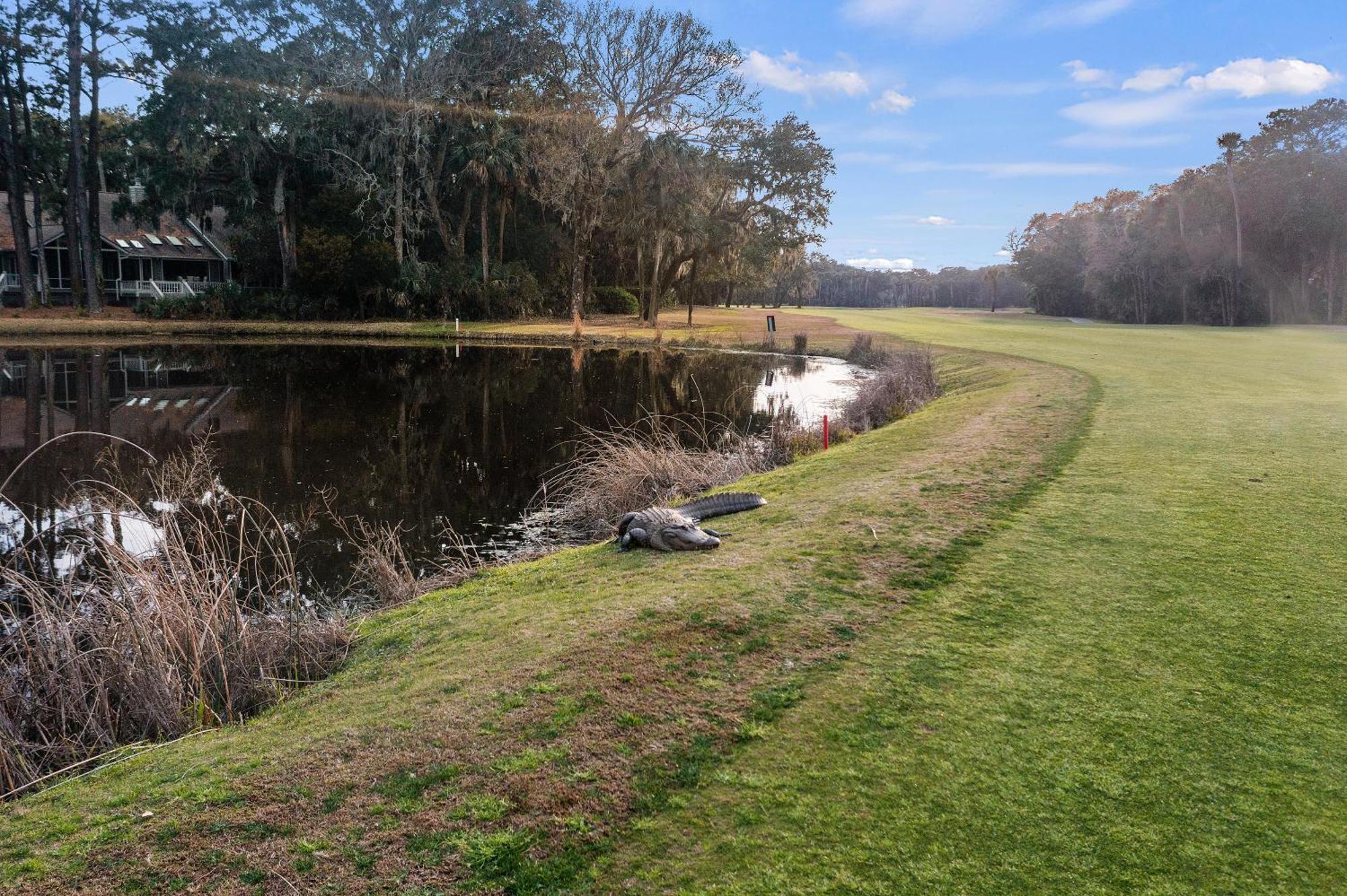 115 Pleasant Valley Holiday home Kiawah Island
